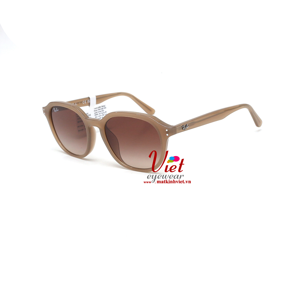 Kính mát RayBan RB4459D 6166/13